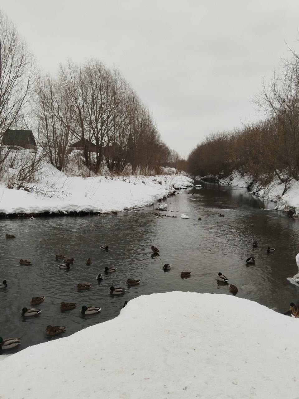 tati_konysova_dolls в LOOKY — фото 3