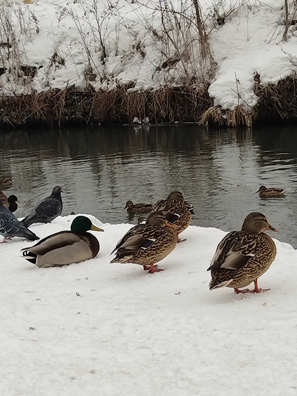 tati_konysova_dolls в LOOKY. . Как-то приехала я к ...