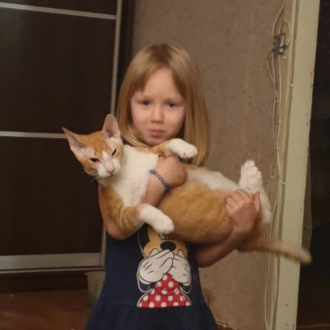 Looky_178091063102127 в LOOKY. . 