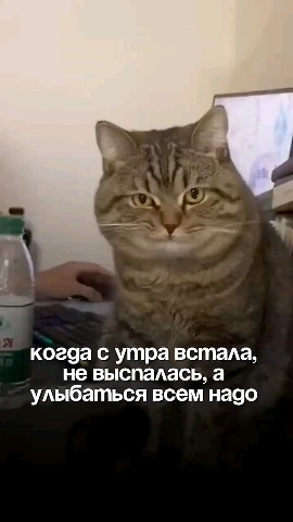 Мила в LOOKY — публикация