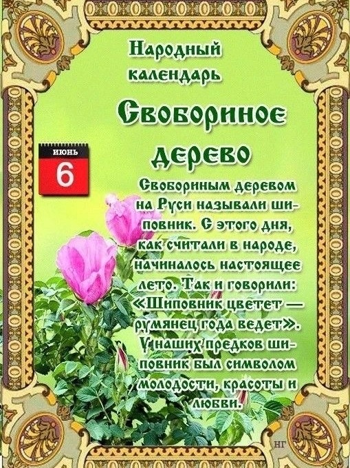 Оля в LOOKY — #Народный календарь