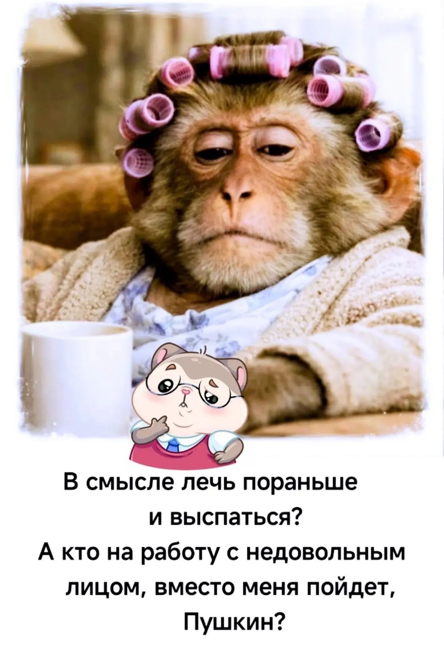 Tatiana Ubushaeva в LOOKY — публикация