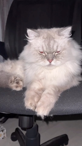 taik19.12.19 в LOOKY. . Обидно😼