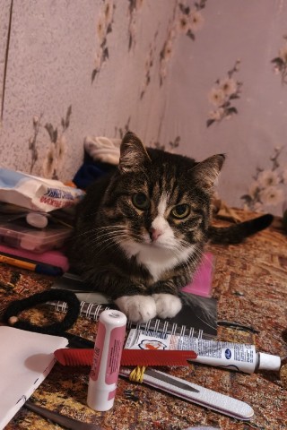 Gena40 в LOOKY. . Среди всего что нужн...