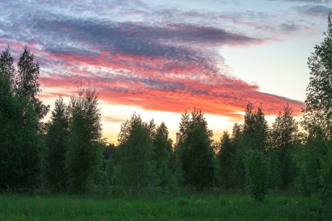 poboruev_landscape в LOOKY. . "Как обманчива приро...