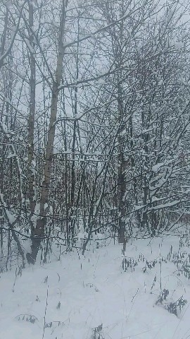 k.alexan_dra в LOOKY. . 