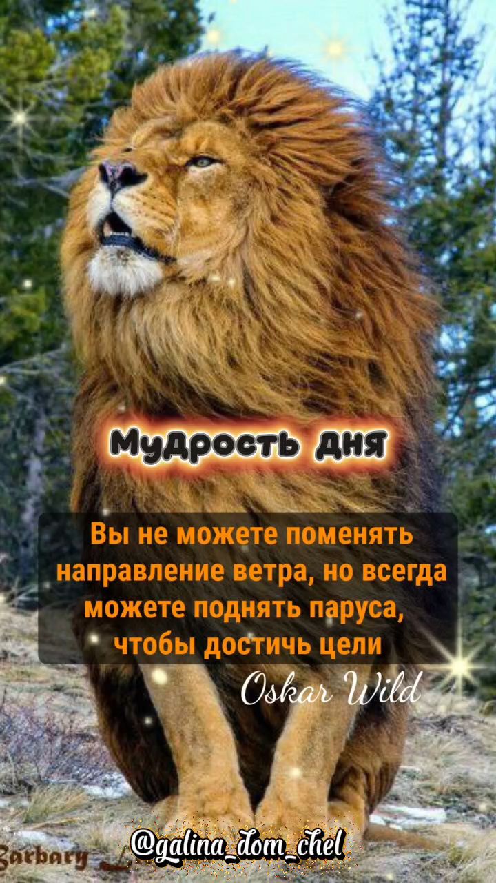 galina_dom_chel в LOOKY. #мудростьдня,#мудрость,#мудростьжизни,#мудрыемысли,#мудрыесоветы,#мудрые_слова,#мудрыеслова,#всехблаг,#мечтысбываются. Желайте, чувствуйте,...
