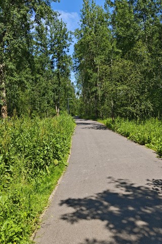 mab_ru в LOOKY. #самокат,#отдых,#парк. Кататься в парке, гд...
