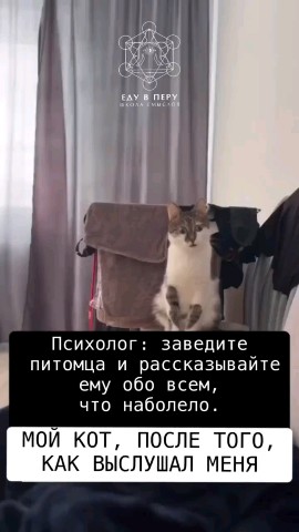 Looky_1707664987355 в LOOKY. #видео. ❗Иногда мы так переж...