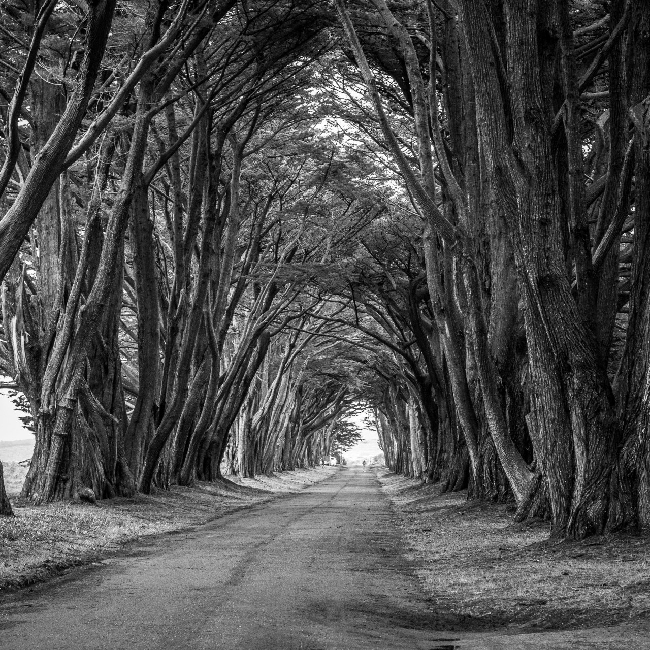 it is way. i like to a walking in way because very dreamly. 



[#picture](picture) [#walk](walk) [#walking](walking) [#world](world) [#wonderful_places](wonderful_places) [#dream](dream) [#beautiful](beautiful) [#jungle](jungle) [#sweet](sweet) [#beauty](beauty) [#wayoflife](wayoflife) [#fun](fun) [#family](family) [#fantasy](fantasy) 