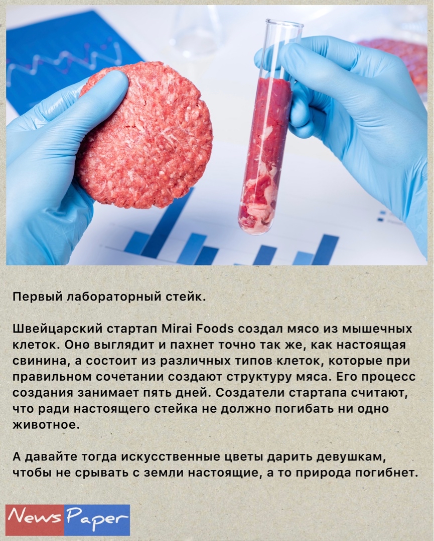 News Paper в LOOKY — #новости [#смешныеновости](смешныеновости) [#странныеновости