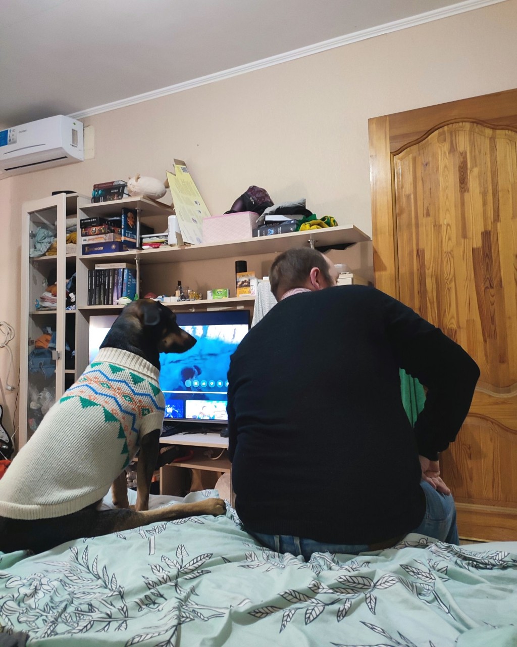 Looky_1695743498106 в LOOKY — Собираются с духом перед прогулкой) [#пират](пират) [#собака
