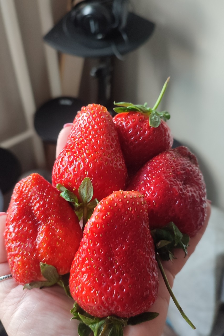 Вкуснятина 😍😋🍓
#вкусноилибе