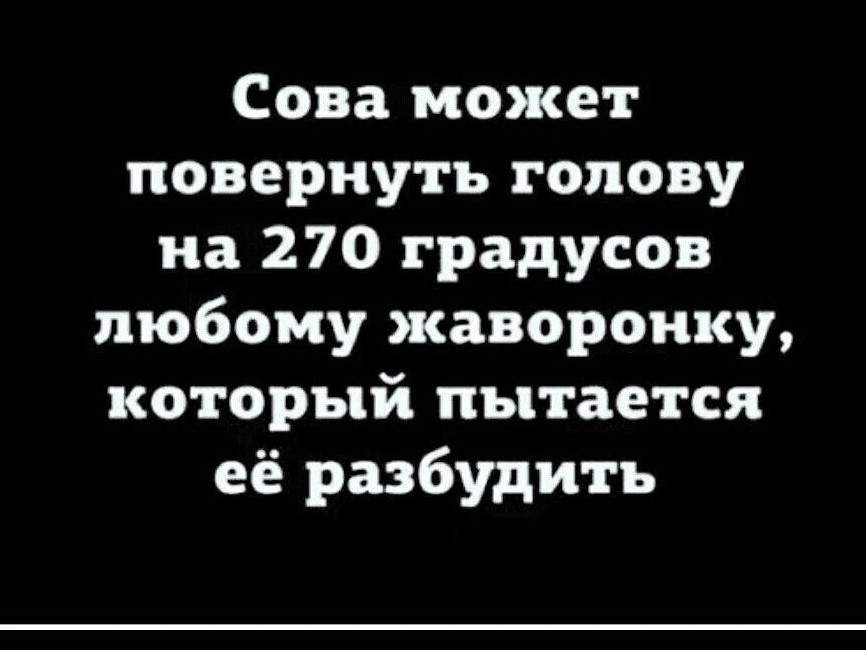 Looky_1713181553693 в LOOKY — Лайк, как минимум 👍 
#Лайк #Минимум [#looky_контент ](looky