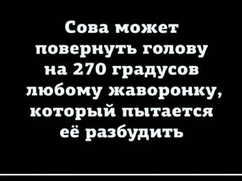 Хи-хи Ха-ха в LOOKY. #Лайк,#Минимум. Лайк, как минимум 👍...