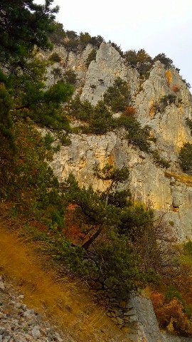 TassaCroy в LOOKY. . Осень золотая 😍
Нем...