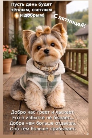 Таролог  Рена Эльф в LOOKY. . 
