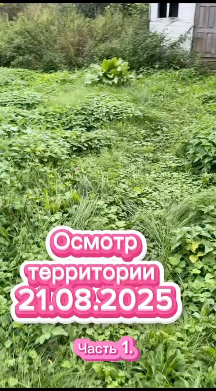 Elena в LOOKY. . Осмотр территории. 2...
