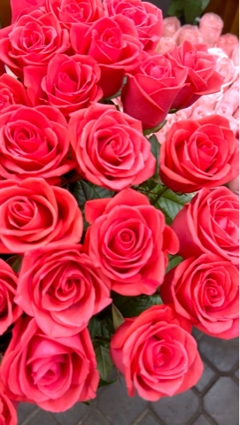nikolai_flowers в LOOKY. #цветы,#розы,#доставка,#шахты,#шахтыцветы,#цветышахты,#розышахты,#цветывшахтах,#дгтушахты,#блокнотшахты,#шахтыгород,#городшахты,#shakhty,#shachty,#shahty. Розы на любой вкус 
...