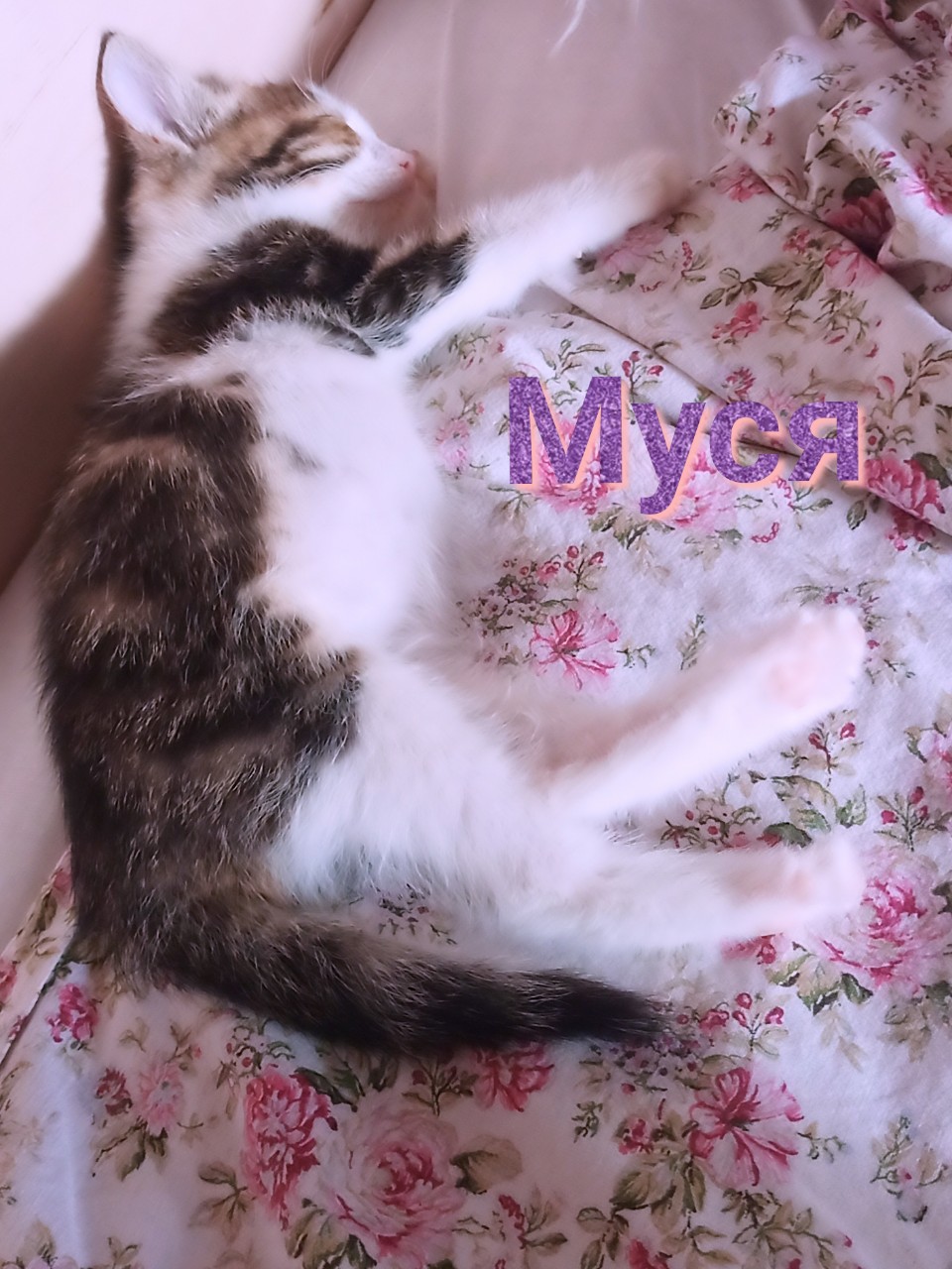 Муся