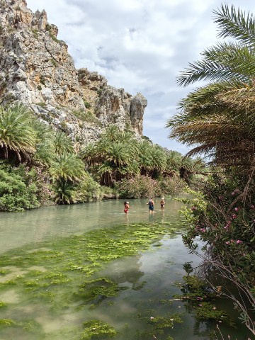 TOCRETE в LOOKY. #Превели,#Крит,#Греция,#Preveli,#Crete. Пасмурный Превели. В...