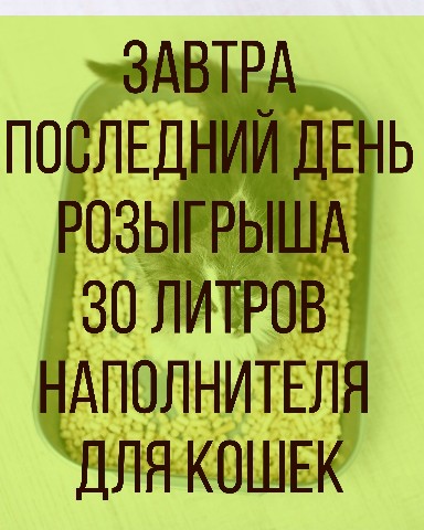 Looky_1672852342253 в LOOKY. . Условия 👉 https://v...