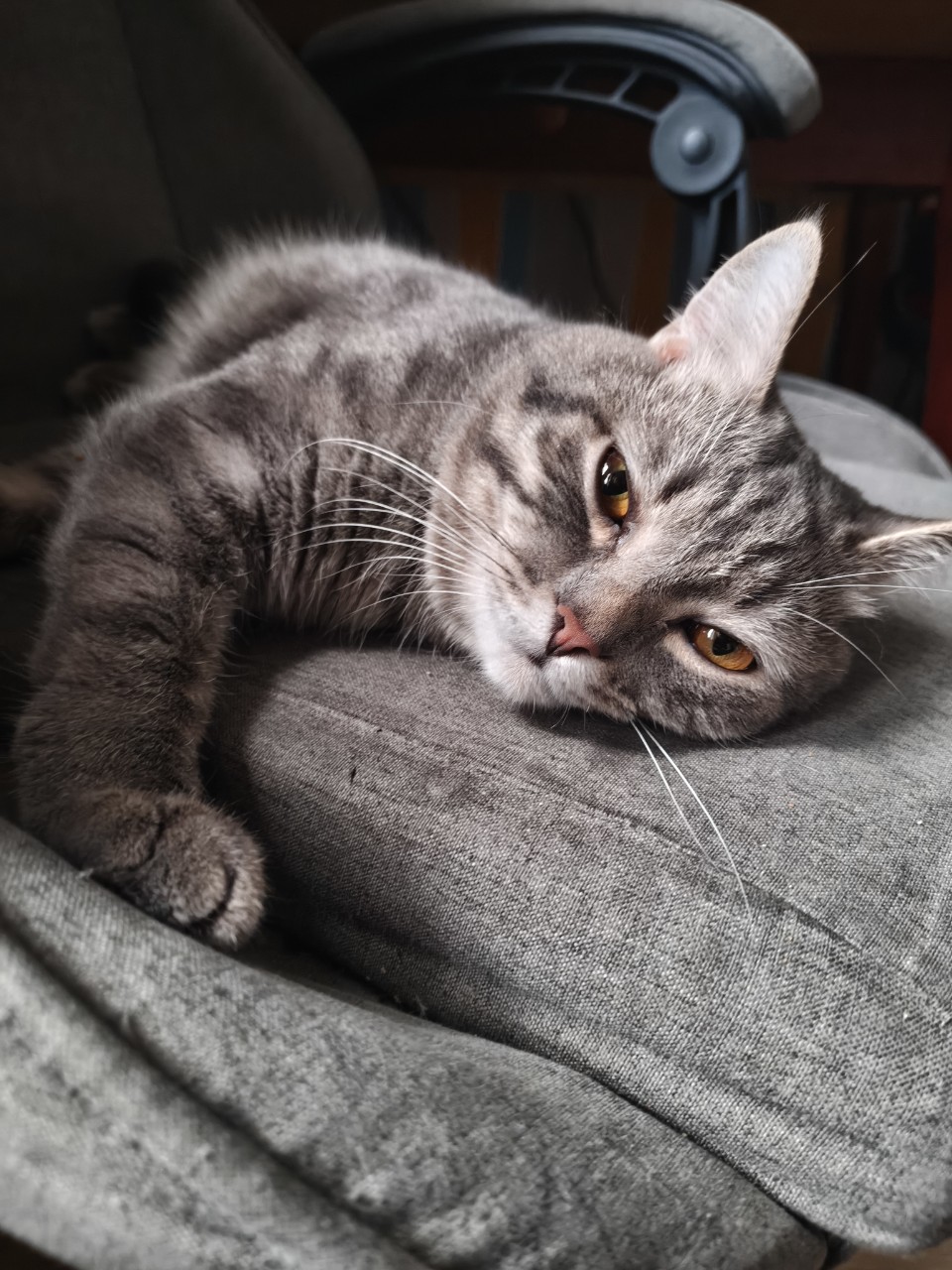 Спал без мелкого, наконец-то, а то всё время эта мелочь мешается😾
