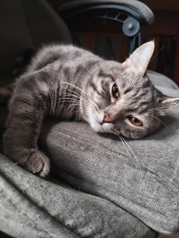 Dasha в LOOKY. . Спал без мелкого, на...