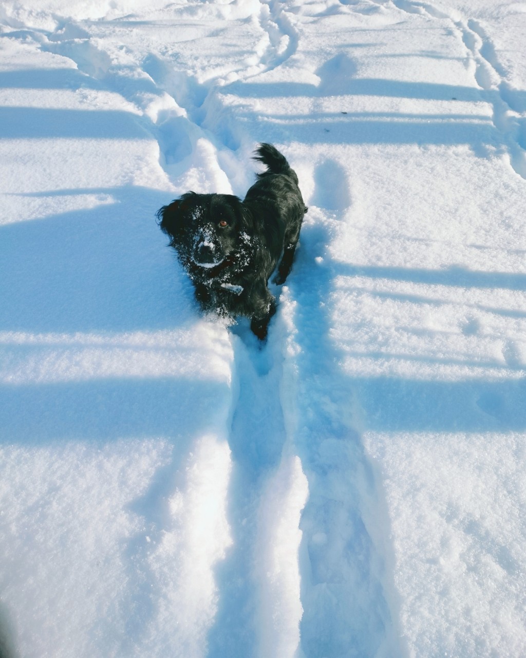 mika_96 in LOOKY. . ❄
