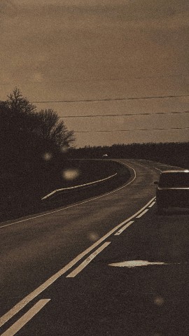 Looky_1680279514363 в LOOKY. . 
