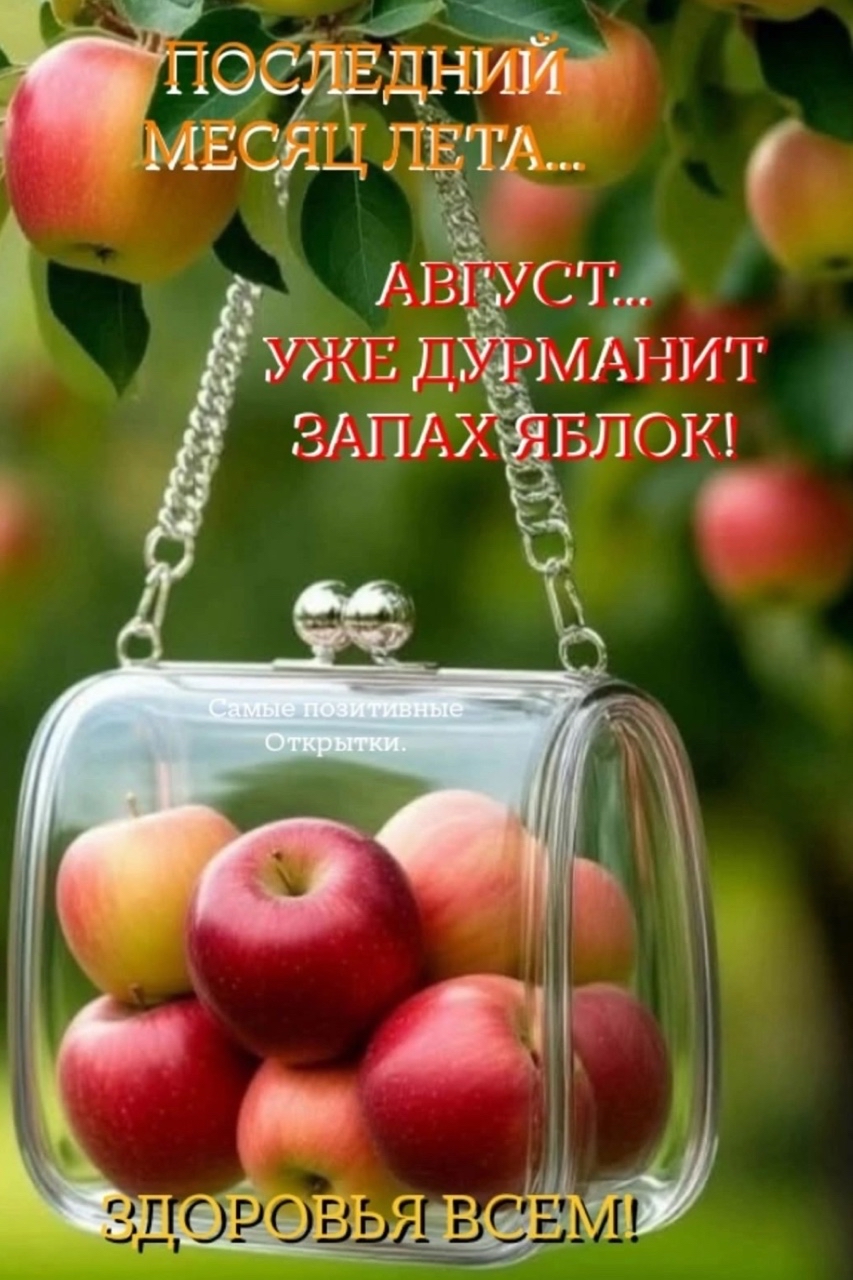 август#лето2025