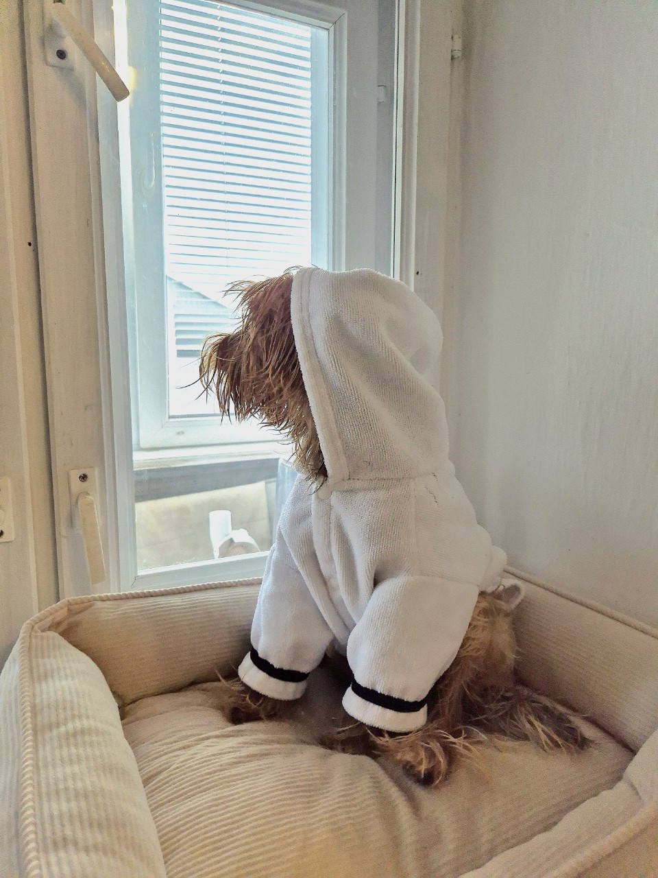 girka.anastasia