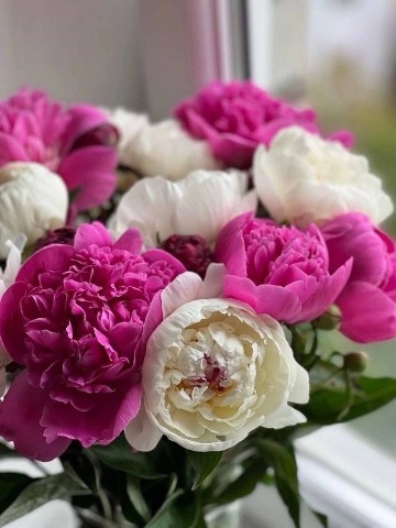 Анастасия в LOOKY. . 💗