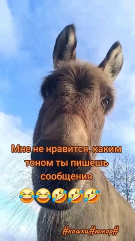 Ирина блонд в LOOKY — публикация