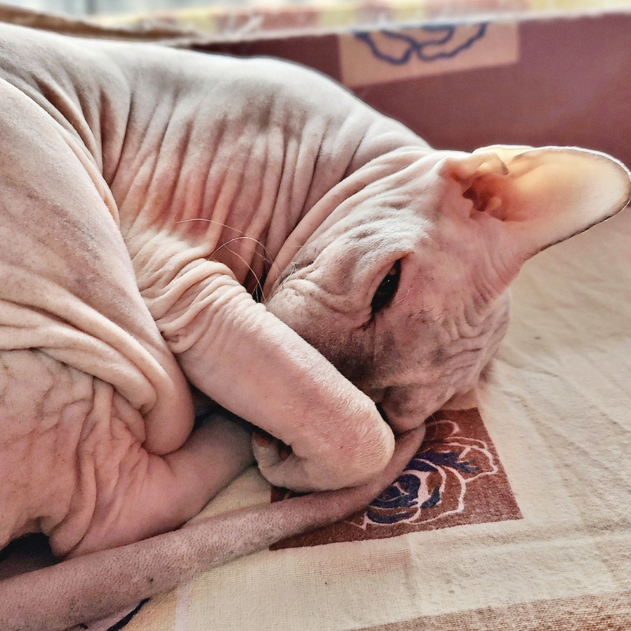 Виктор в LOOKY — фото 2