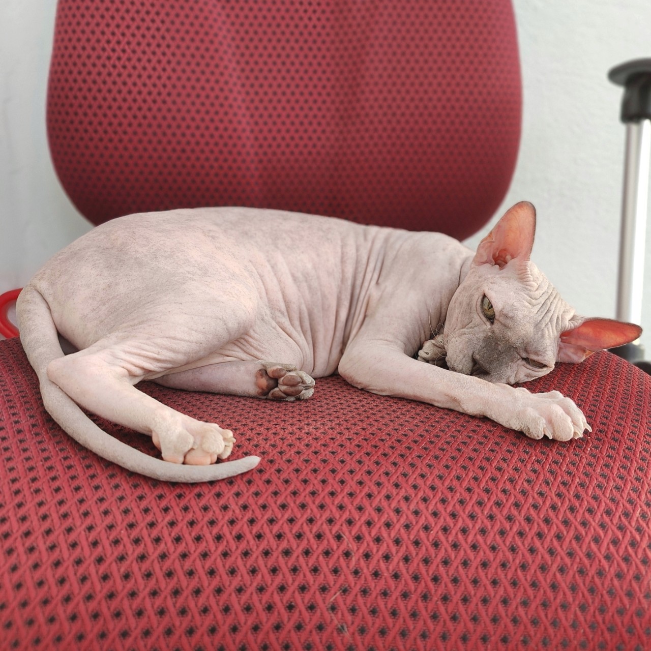 Виктор в LOOKY — фото 1