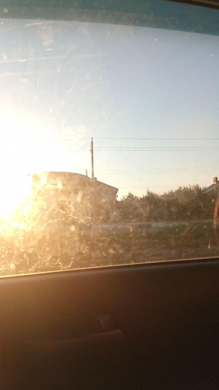 Солнечный Светлячок в LOOKY — публикация