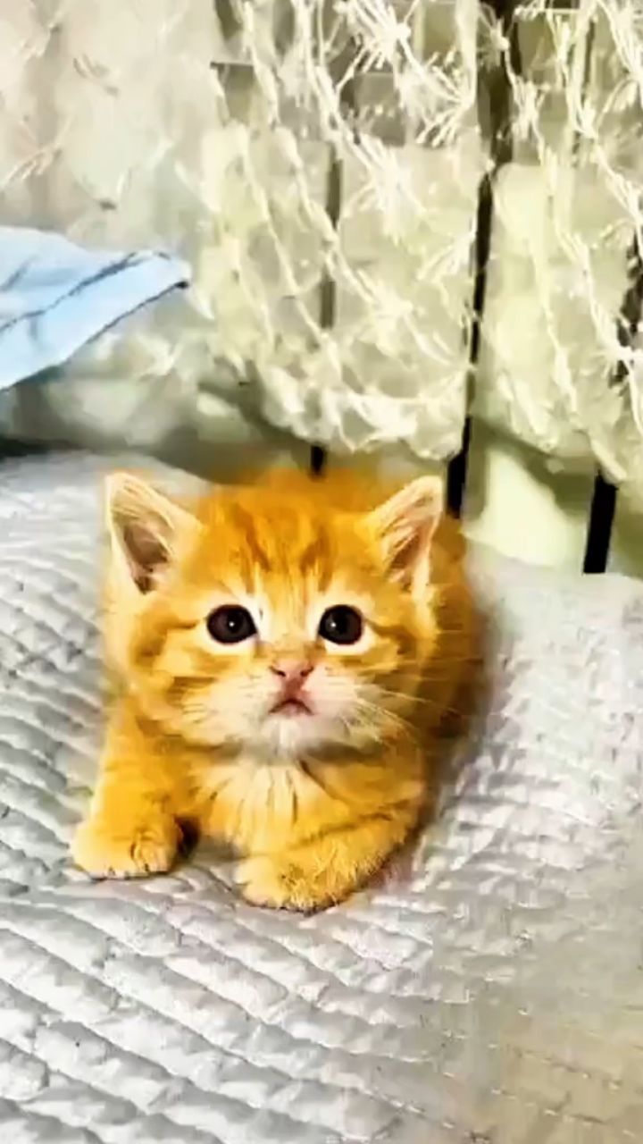 Looky_178758262962202 в LOOKY. . 