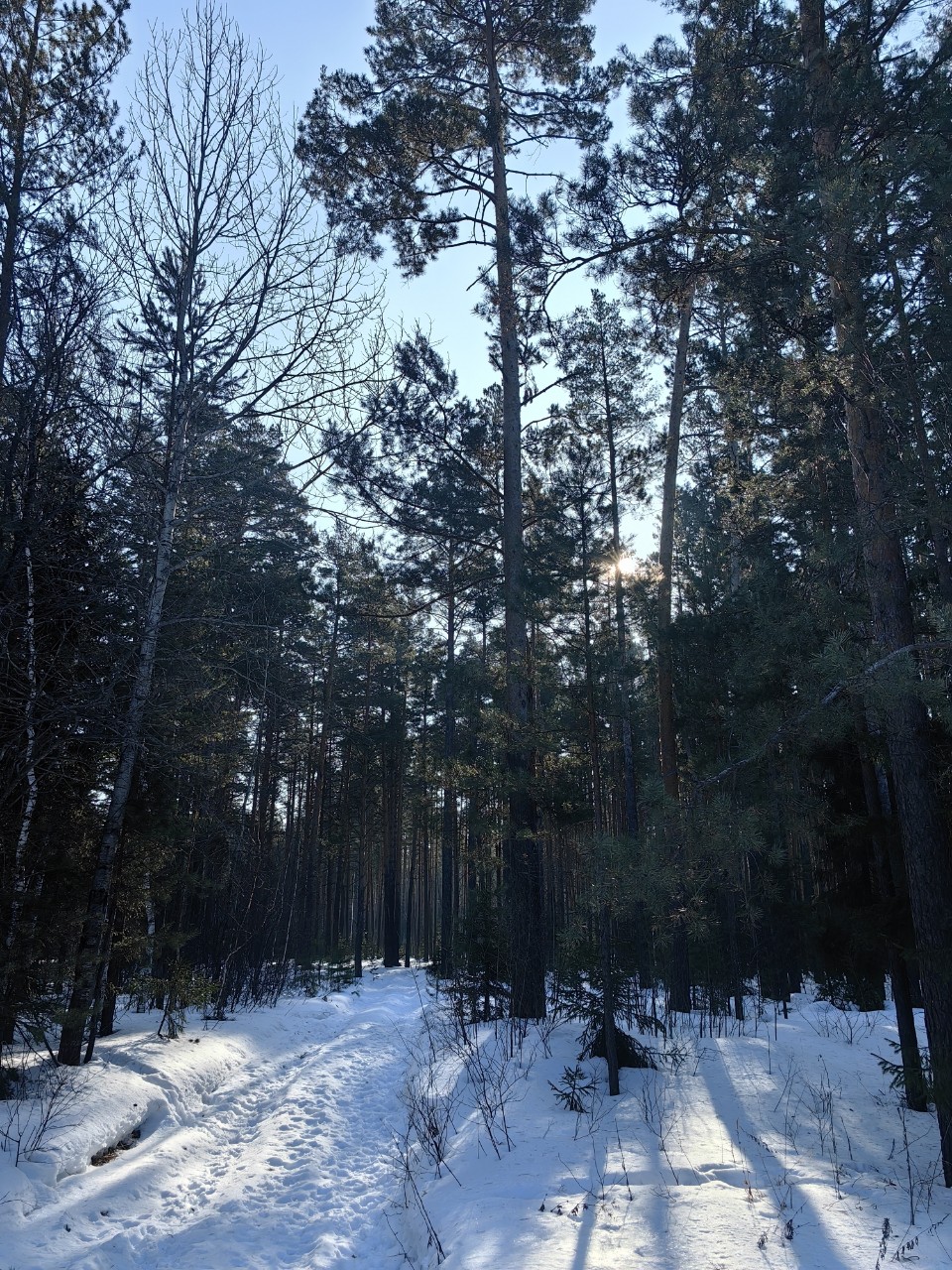 pinchuk_brand в LOOKY — фото 2