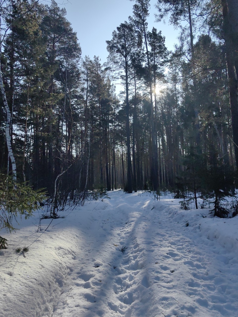 pinchuk_brand в LOOKY — фото 3