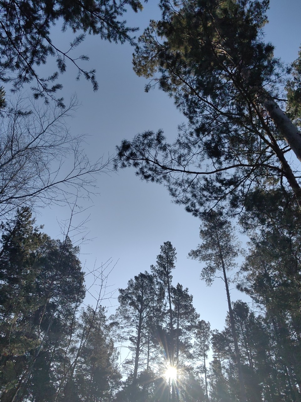 pinchuk_brand в LOOKY — фото 4