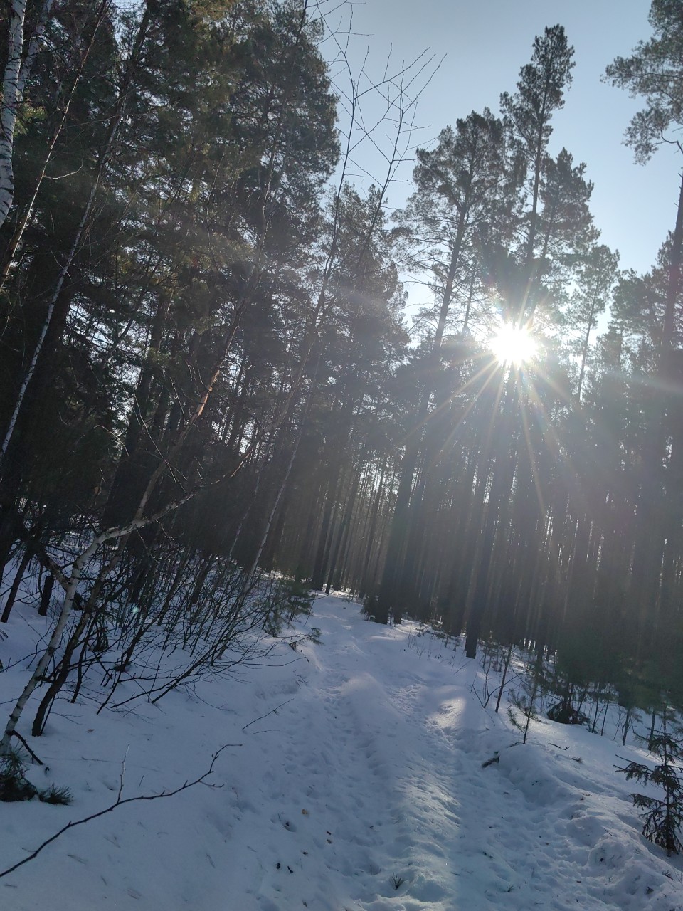 pinchuk_brand в LOOKY — фото 5