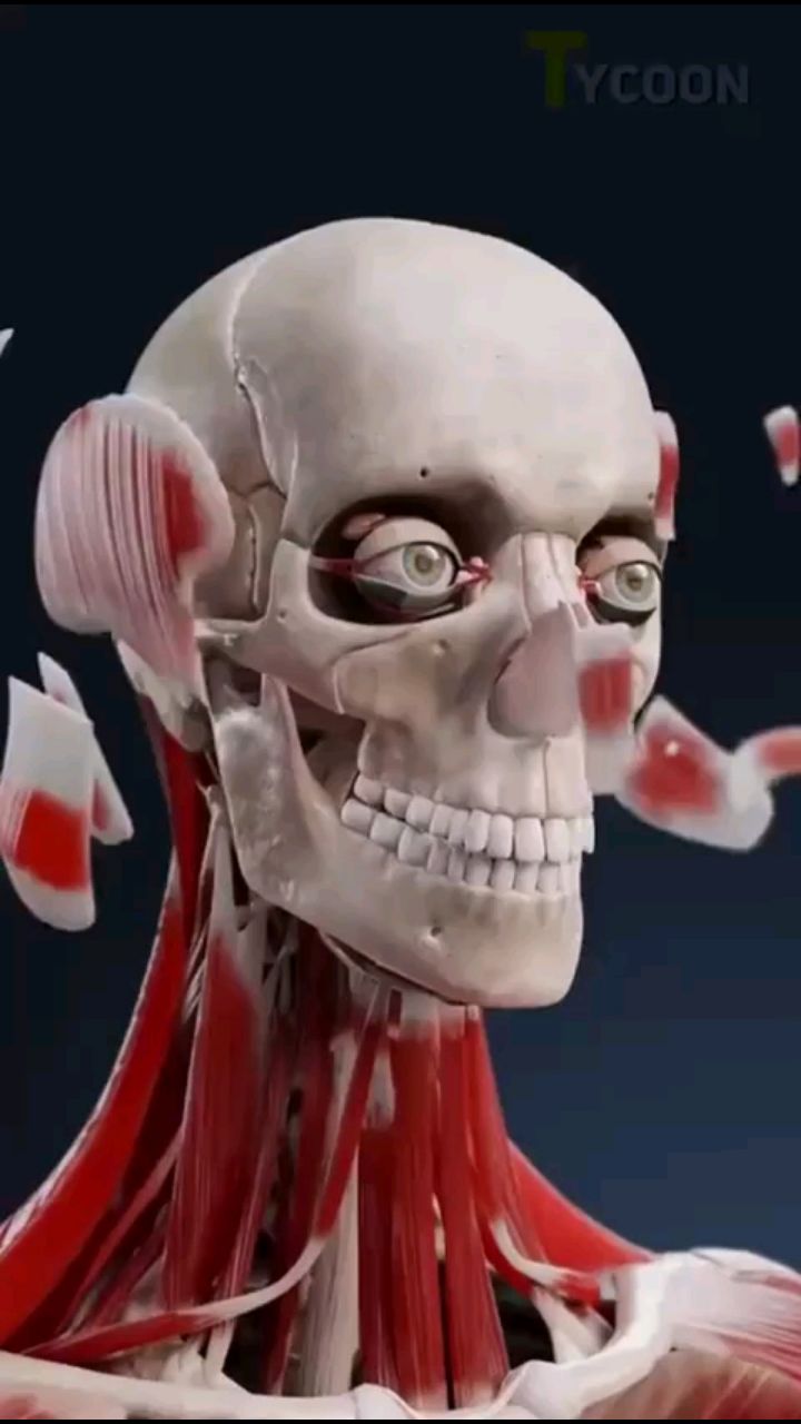 elena.sych_vitamin в LOOKY. . Магний играет ключев...