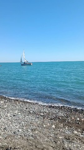 Looky_1720632164548 в LOOKY. . Абхазия. Сухум.