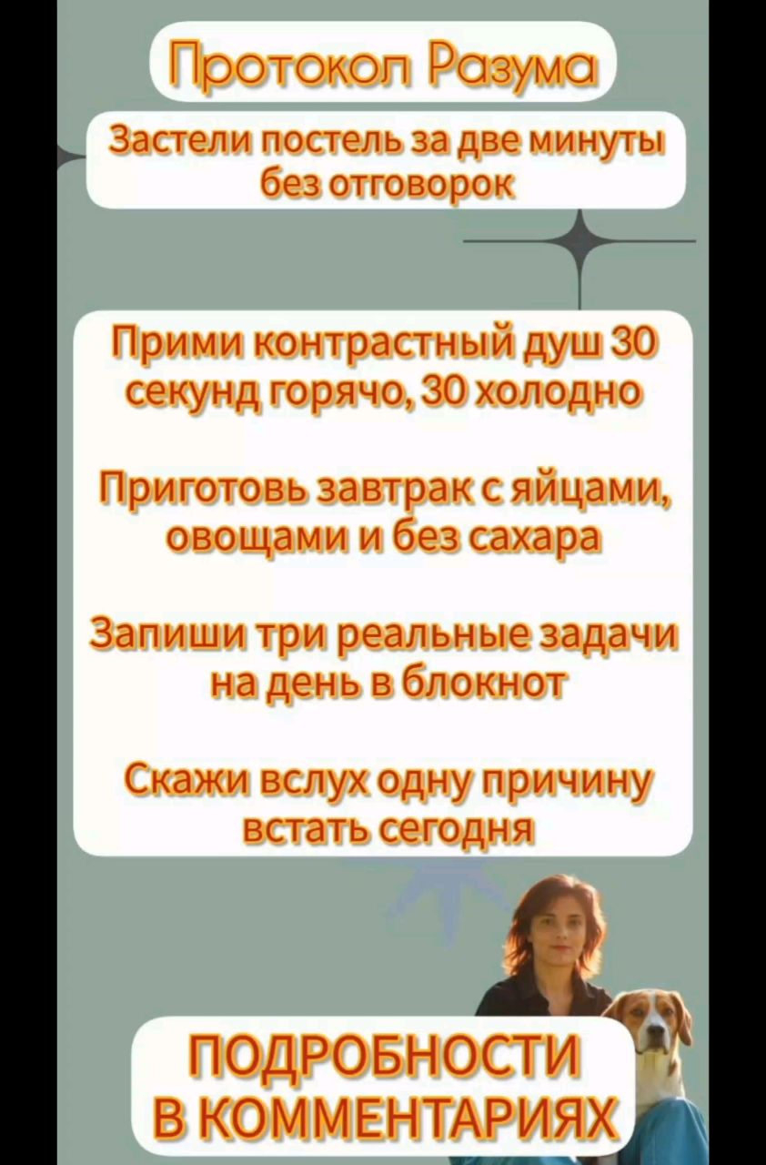Нелли Сова в LOOKY. . Пока цель — зарабаты...