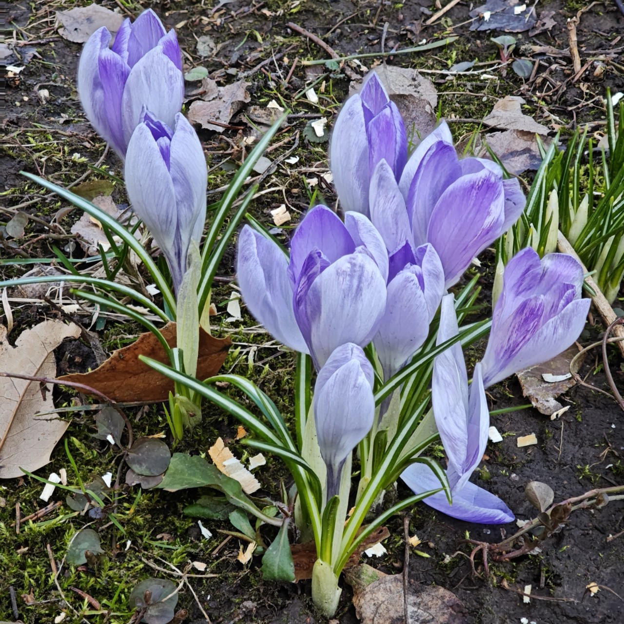 lomka в LOOKY — 😻