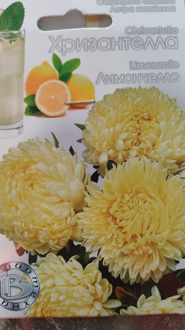 Лимончелло🍋#садогород#цветы#