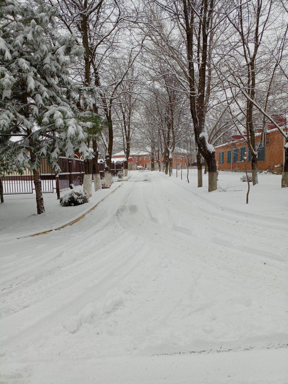 Олеся в LOOKY — публикация