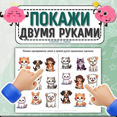 ОВЗята - с любовью в LOOKY. #Обучение,#Развитие,#ДетиСОВЗ,#ИгрыИЗадания,#Инклюзия. ✨ Рабочие листы Пока...