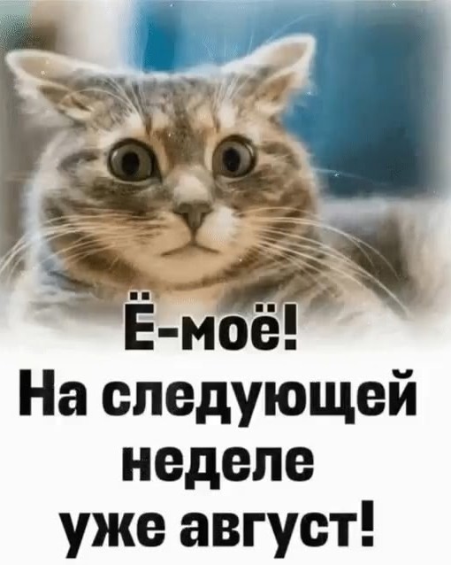 aleksei23111980 in LOOKY. . 